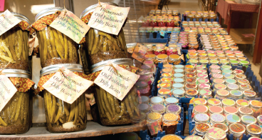 Profile: Tammy Boylan Profile: Tammy Boylan