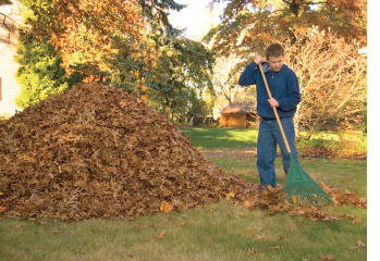 leaf peeping exercise