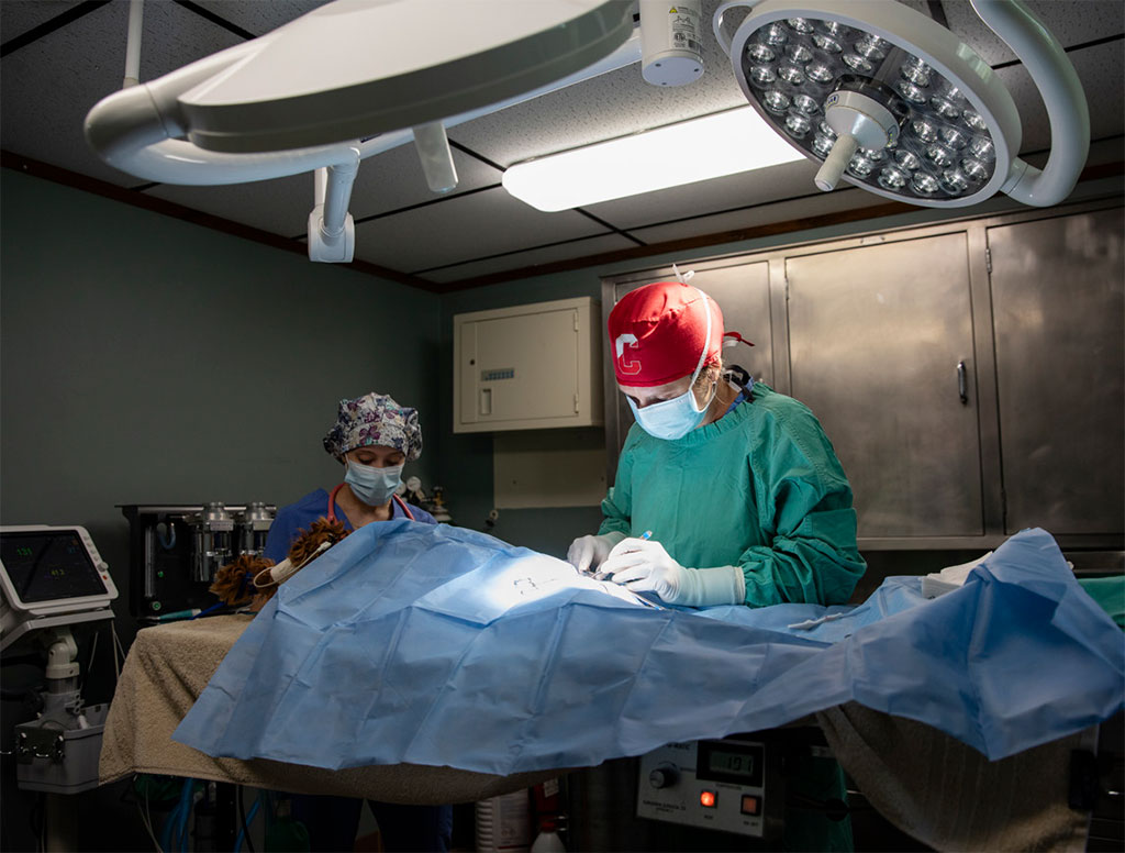 rondout-valley-veterinary-kerhonkson-ny-vets-hudson-valley-06