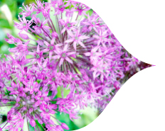 This Fall Think Spring This Fall Think Spring