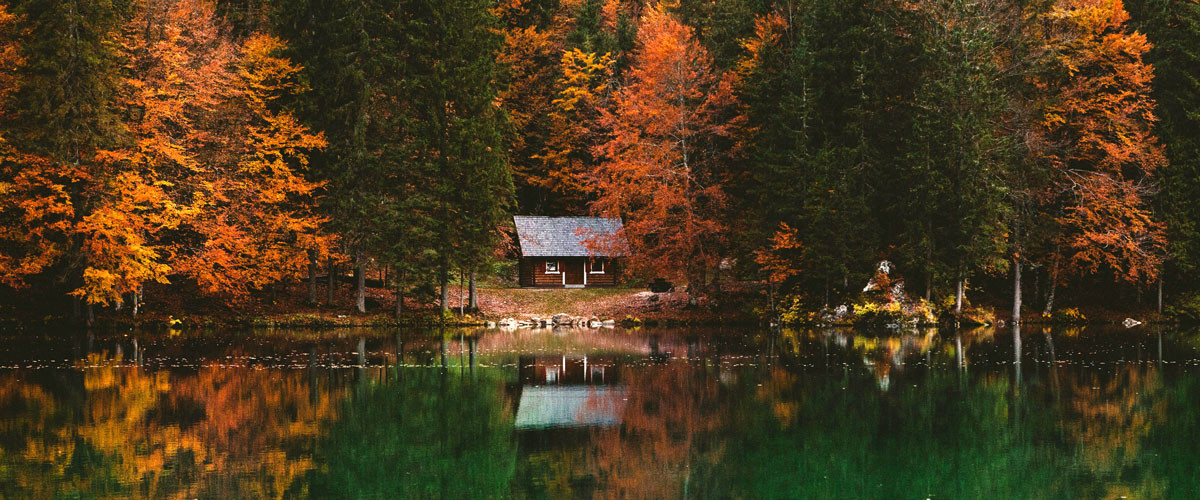 Where To Stay